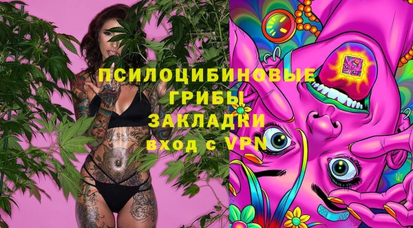 дживик Богданович