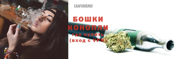 МДПВ Богородск