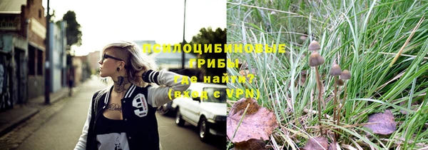 дживик Богданович