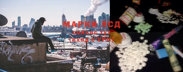 МДПВ Богородск