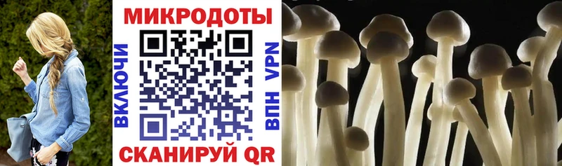 хочу   Тюмень  Псилоцибиновые грибы мицелий 